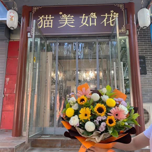 猫美如花:阳泉市郊区开发区附近