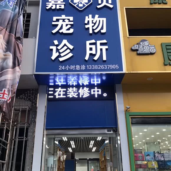 嘉贝宠物诊所:盐城市建湖县