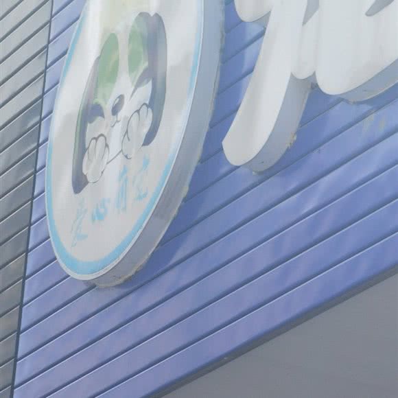 爱心萌宠宠物生活会馆(富安店):盐城市东台市