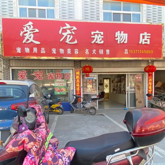 爱宠宠物店:盐城市东台市