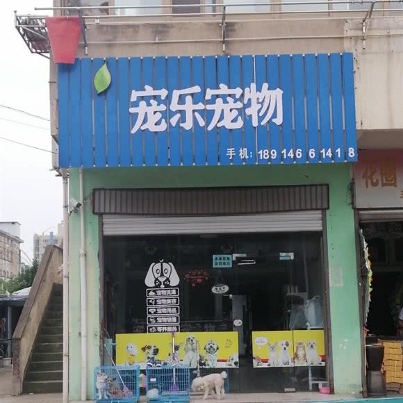 宠乐宠物:盐城市东台市