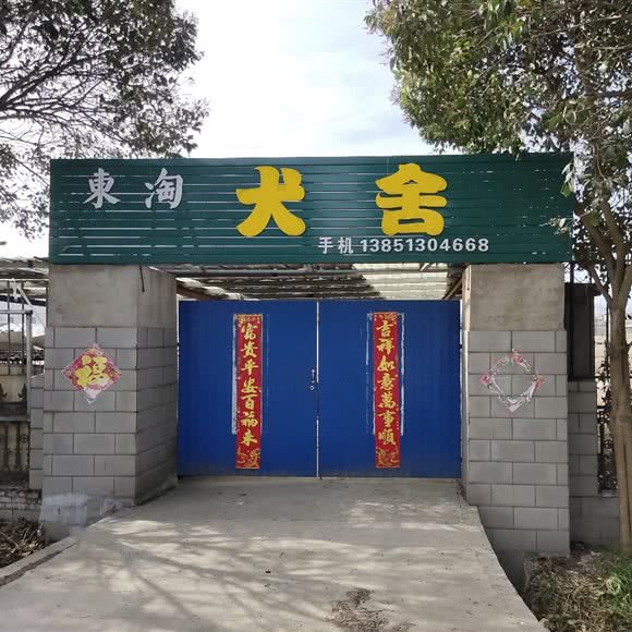 东淘犬舍:盐城市东台市