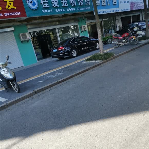 佳爱宠物诊所:盐城市东台市