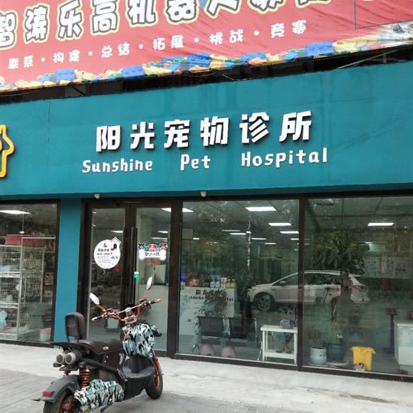 阳光宠物诊所:盐城市东台市