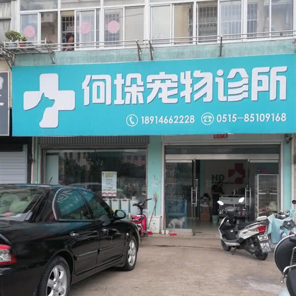 何垛宠物诊所:盐城市东台市