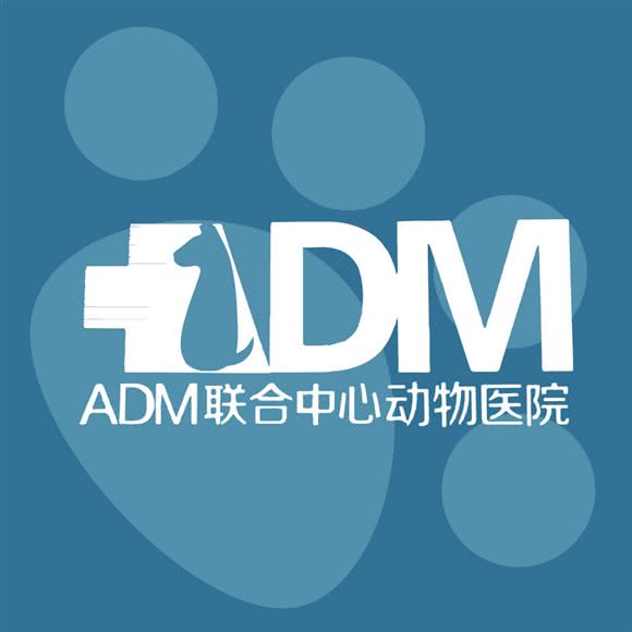 ADM联合中心动物医院:阳泉市郊区泉中路附近