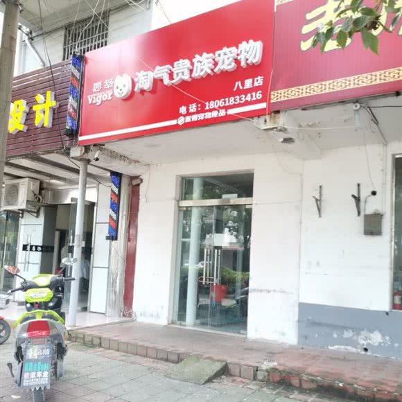 妙萃淘气贵族宠物(八里店|):扬州市邗江区