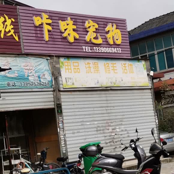 咔咪宠物:扬州市邗江区