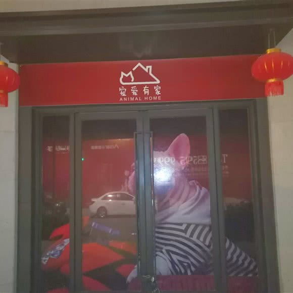 宠爱有家:扬州市邗江区