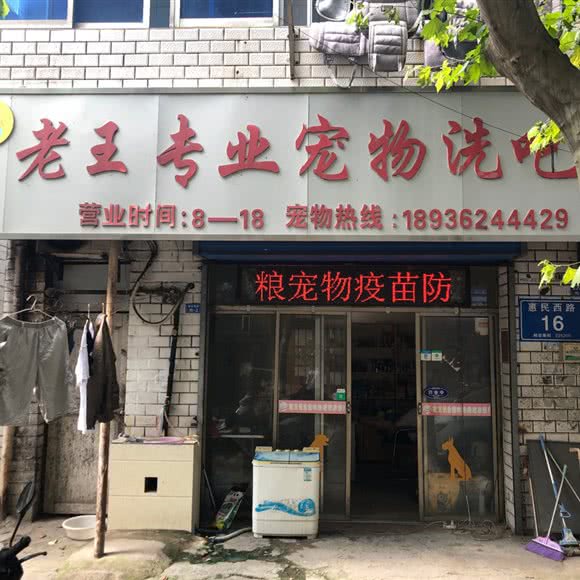 老王专业宠物洗吧:扬州市江都区