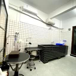 蒂梦宠物:扬州市江都区