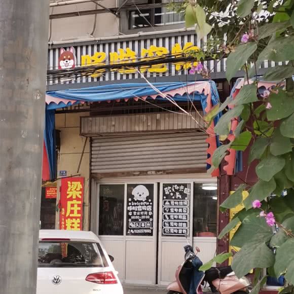 哆啦宠物:扬州市江都区