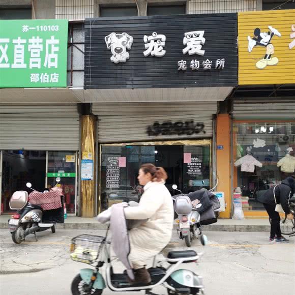 宠爱宠物会所:扬州市江都区