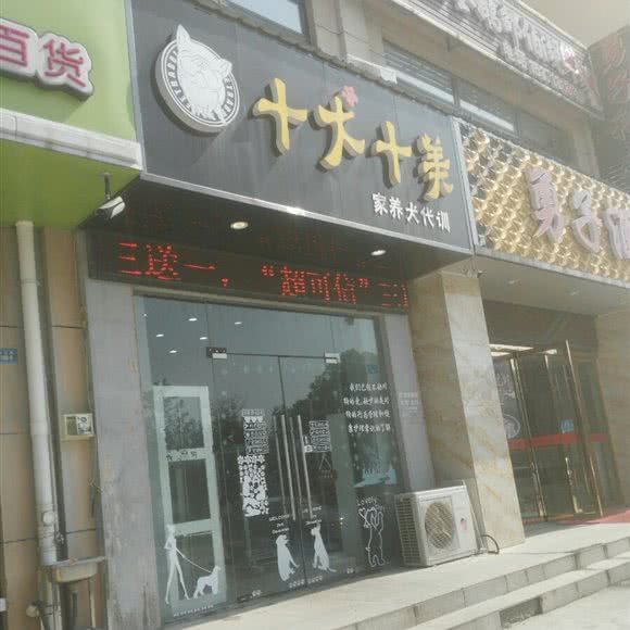 八犬十美:扬州市江都区