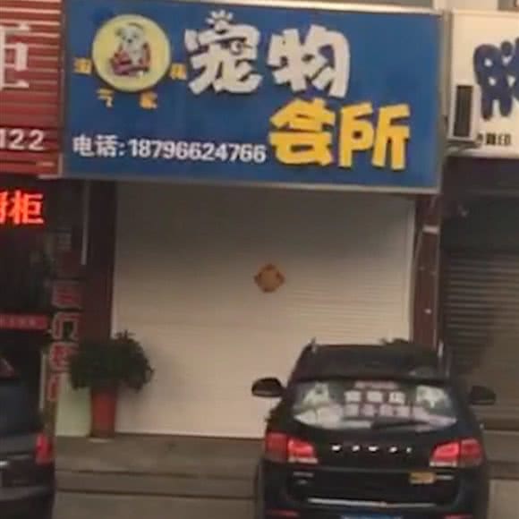 宠物会所:扬州市江都区