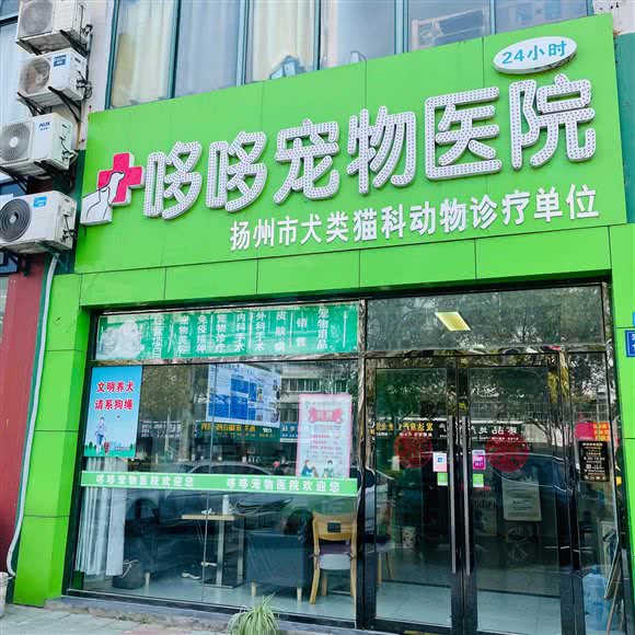 哆哆宠物医院:扬州市江都区