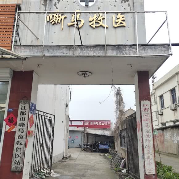 江都市嘶马畜牧兽医站:扬州市江都区