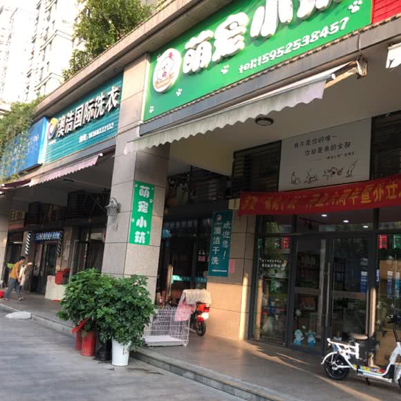 萌宠小筑:扬州市宝应县