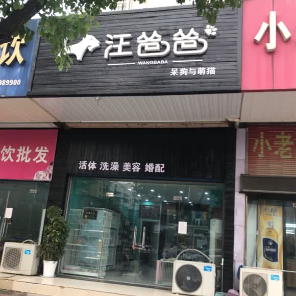 汪爸爸:扬州市宝应县