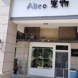 Grace宠物工作室:扬州市宝应县