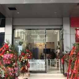 莫妮卡宠物:扬州市宝应县