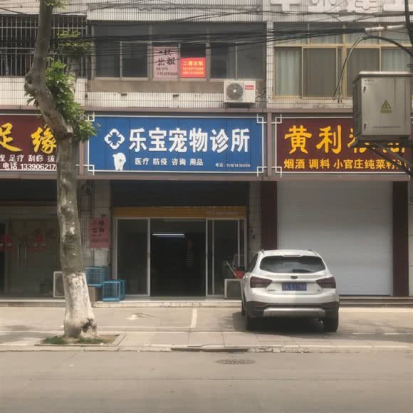 宝乐宠物诊所:扬州市宝应县