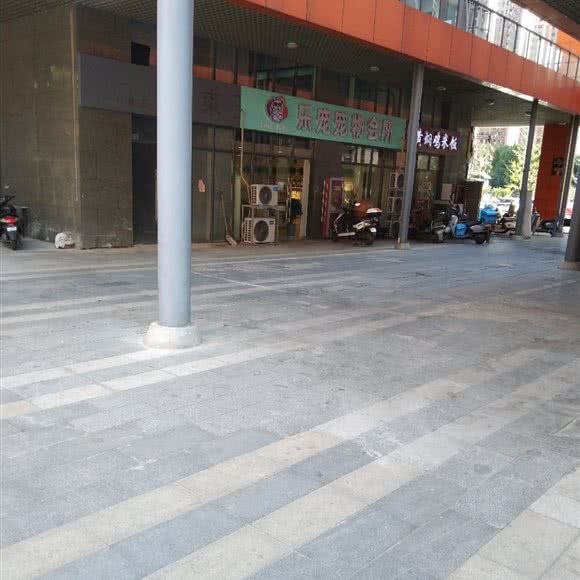 乐宠宠物会所:扬州市仪征市