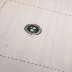 圣宠宠物(仪征店):扬州市仪征市