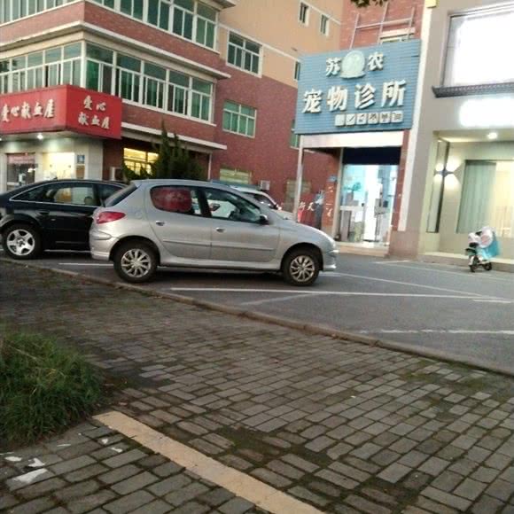 苏农宠物诊所:扬州市仪征市