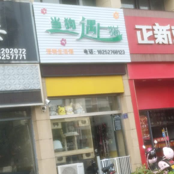 当狗遇上猫宠物生活馆:扬州市高邮市