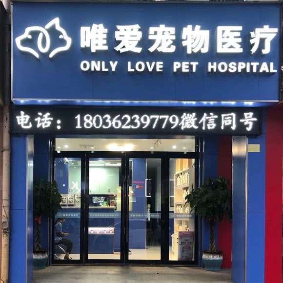 唯爱宠物医疗:扬州市高邮市