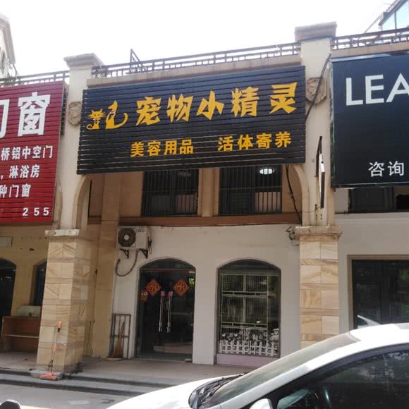 宠物小精灵:镇江市京口区