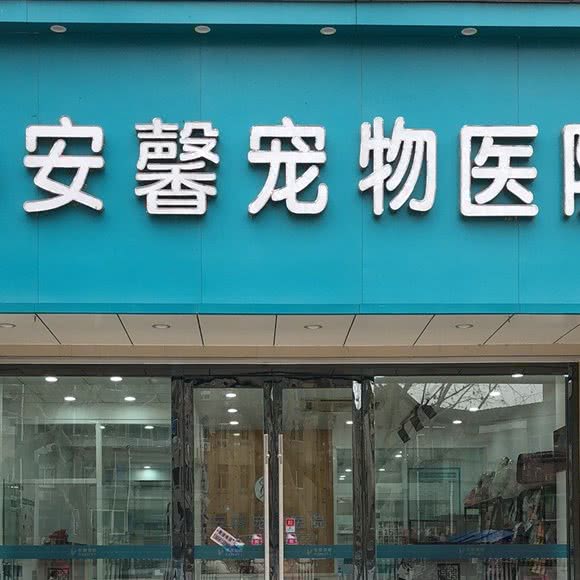 安馨宠物医院:镇江市京口区
