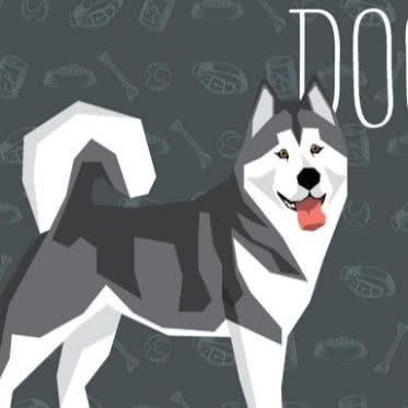 铭菲宠物生活馆:镇江市润州区