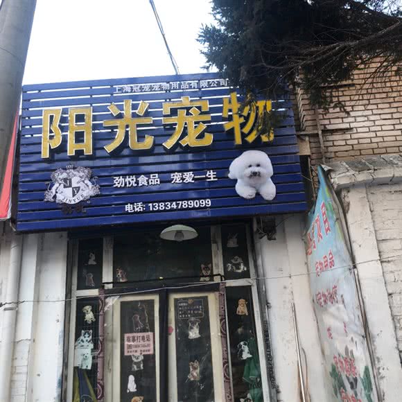 阳光宠物狗:长治市潞州区西客运中心附近