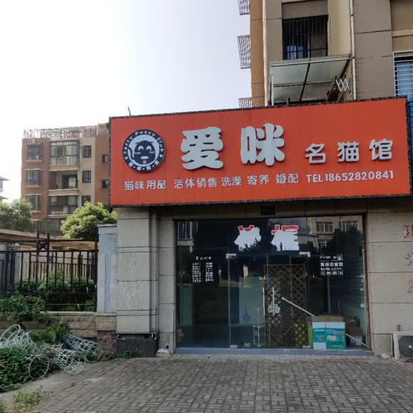爱咪名猫馆:镇江市丹徒区