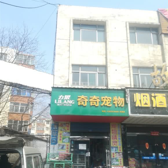 奇奇宠物狗:长治市潞州区钢铁公司附近
