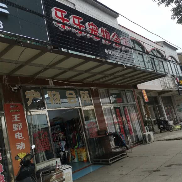 乐乐宠物会所:镇江市丹阳市