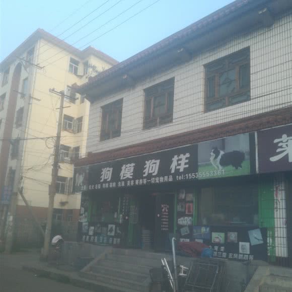 狗模狗样:长治市潞州区钢铁公司附近