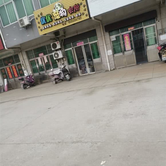 优优宠物会所:镇江市丹阳市