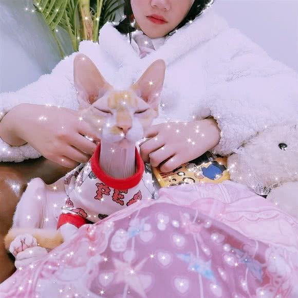 巷里猫咖:镇江市丹阳市