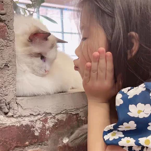 猫将生活馆·猫咖:镇江市丹阳市