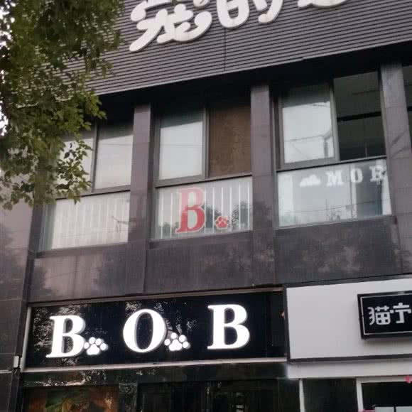 宠的它:镇江市丹阳市