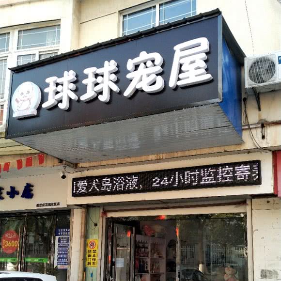 球球宠屋:镇江市丹阳市