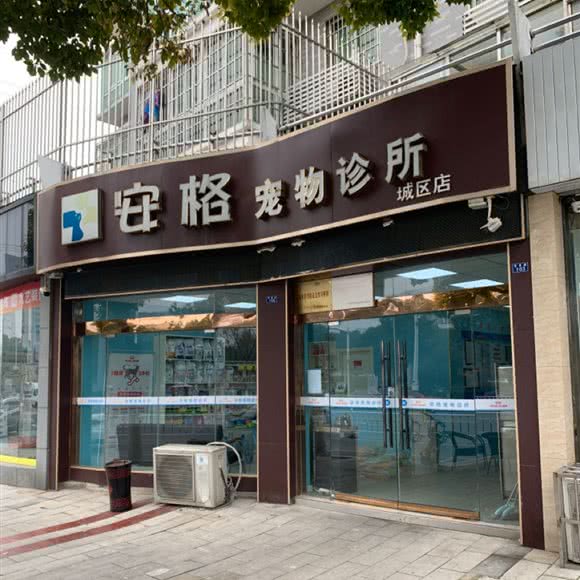 安格宠物诊所(城区店):镇江市丹阳市