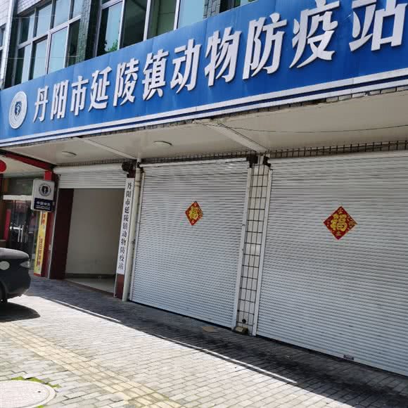 丹阳市延陵镇畜牧兽医站:镇江市丹阳市