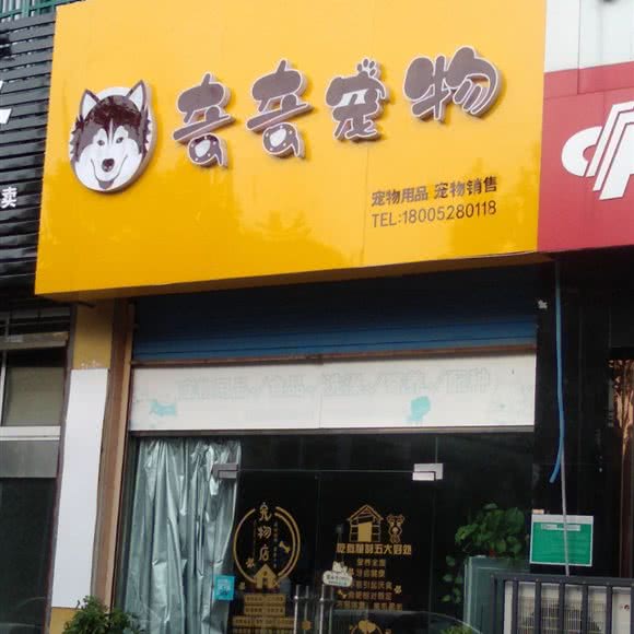 奇奇宠物:镇江市扬中市