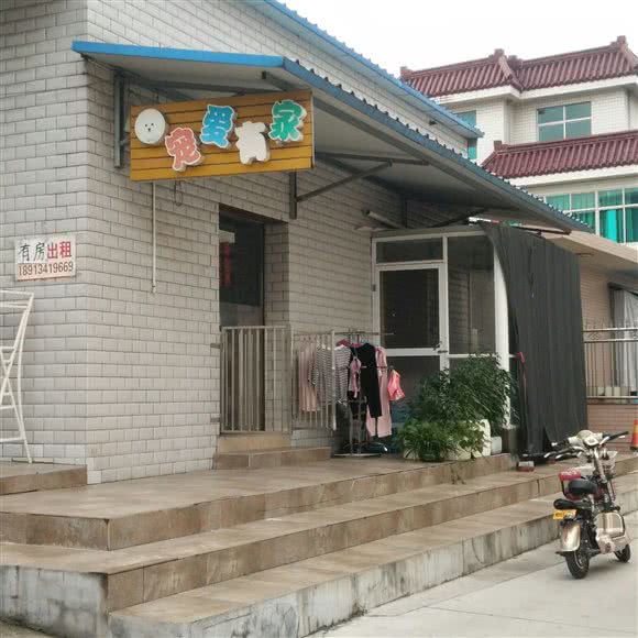 宠爱有家(文化北路店):镇江市扬中市