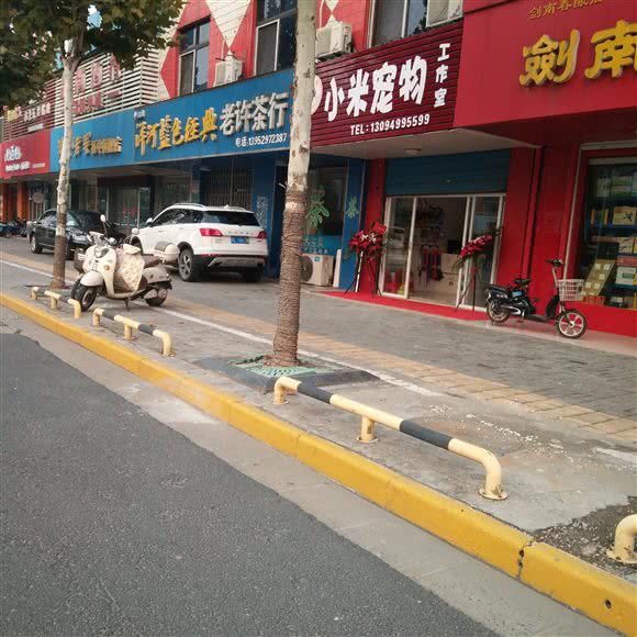 小米宠物:镇江市扬中市