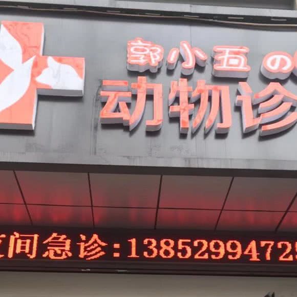 郭小五动物诊所:镇江市扬中市